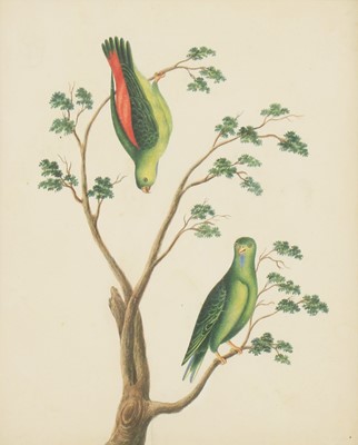 Lot 151 - Company School, 19th century