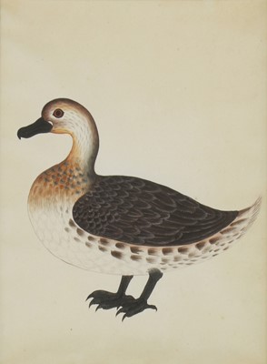 Lot 152 - Company School, 19th century