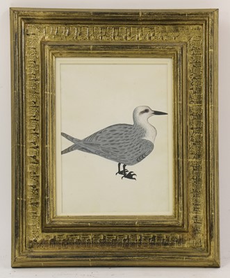 Lot 152 - Company School, 19th century