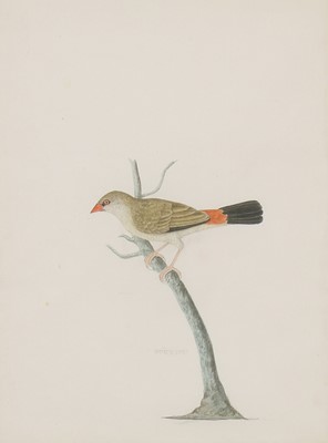 Lot 147 - Company School, 19th century