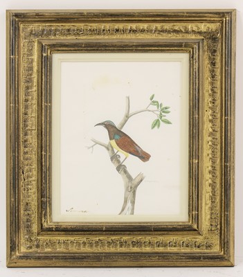 Lot 147 - Company School, 19th century