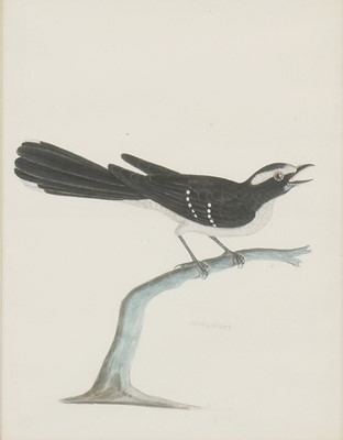 Lot 147 - Company School, 19th century