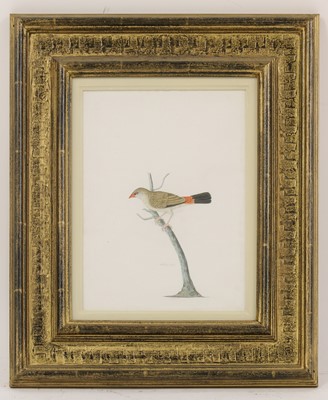 Lot 147 - Company School, 19th century