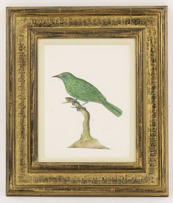 Lot 147 - Company School, 19th century