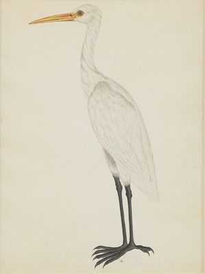 Lot 149 - Company School, 19th century