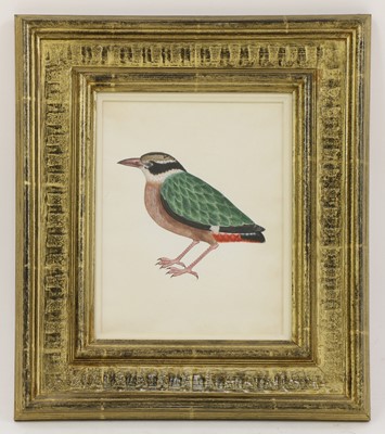 Lot 149 - Company School, 19th century
