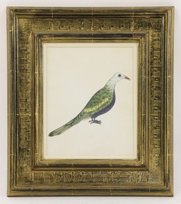 Lot 149 - Company School, 19th century