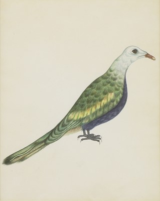 Lot 149 - Company School, 19th century
