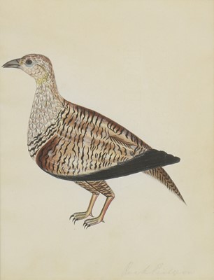 Lot 171 - Company School, 19th century