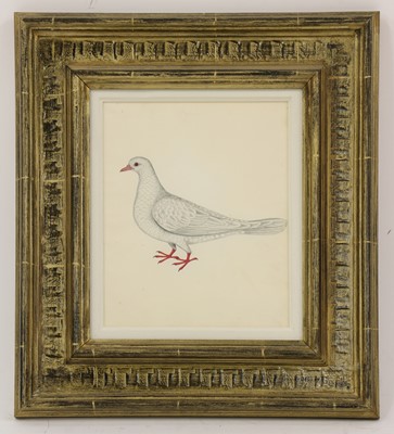 Lot 171 - Company School, 19th century