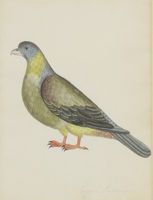 Lot 171 - Company School, 19th century