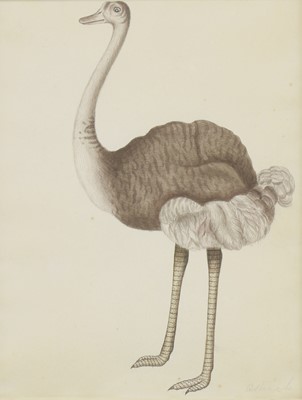 Lot 136 - Company School, 19th century