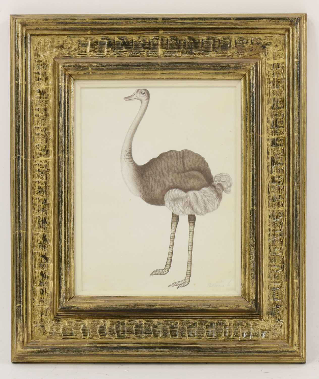 Lot 136 - Company School, 19th century