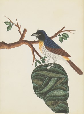 Lot 136 - Company School, 19th century