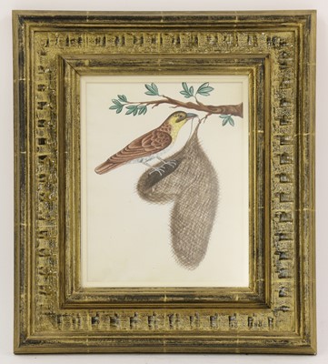 Lot 136 - Company School, 19th century