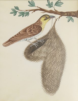Lot 136 - Company School, 19th century
