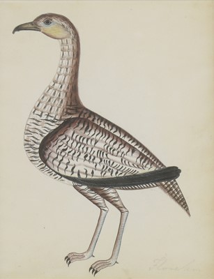 Lot 136 - Company School, 19th century