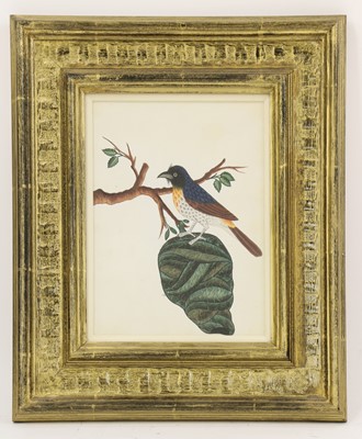 Lot 136 - Company School, 19th century