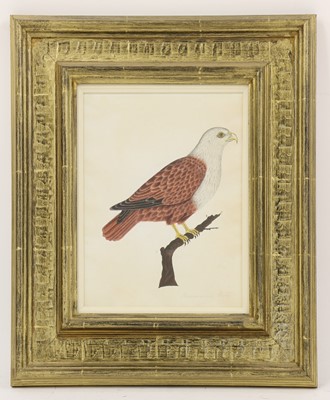 Lot 136 - Company School, 19th century