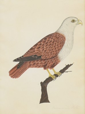 Lot 136 - Company School, 19th century