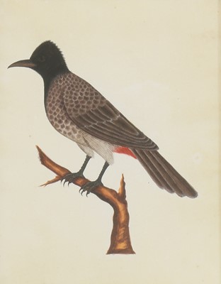 Lot 137 - Company School, 19th century