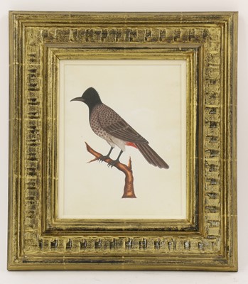 Lot 137 - Company School, 19th century