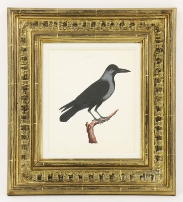 Lot 137 - Company School, 19th century