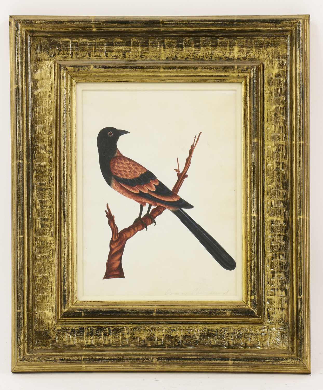 Lot 137 - Company School, 19th century