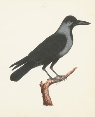 Lot 137 - Company School, 19th century
