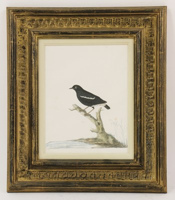 Lot 135 - Company School, 19th century
