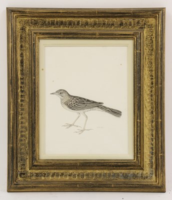 Lot 135 - Company School, 19th century