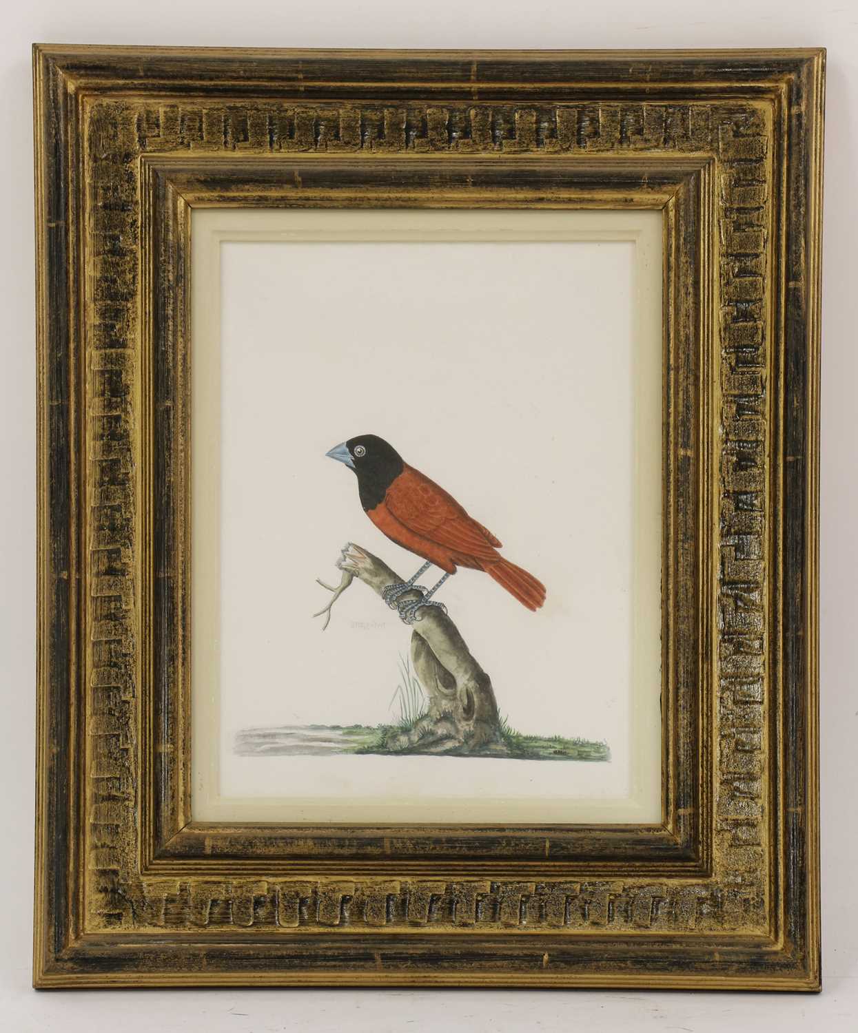 Lot 135 - Company School, 19th century
