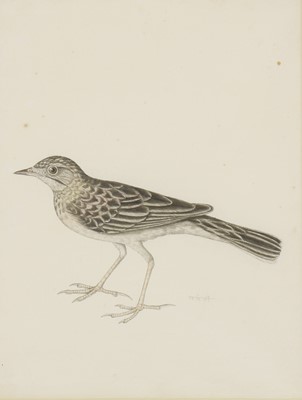 Lot 135 - Company School, 19th century
