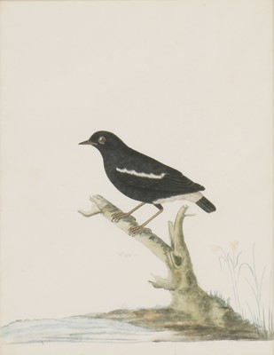 Lot 135 - Company School, 19th century