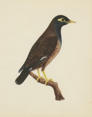Lot 134 - Company School, 19th century