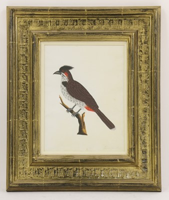 Lot 134 - Company School, 19th century