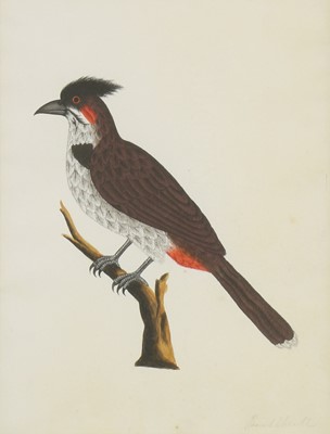 Lot 134 - Company School, 19th century