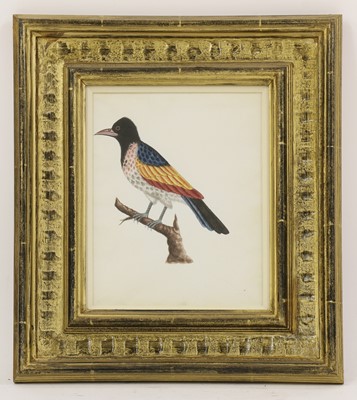 Lot 134 - Company School, 19th century