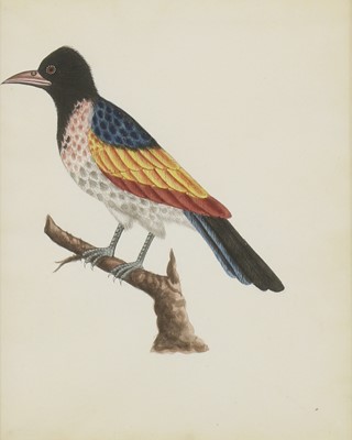 Lot 134 - Company School, 19th century