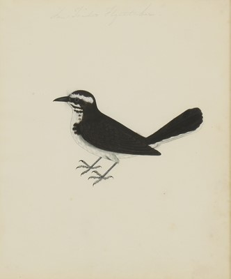 Lot 134 - Company School, 19th century
