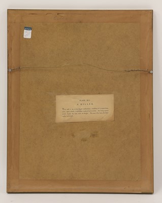 Lot 129 - J Dadley after Pu-Qua of Canton