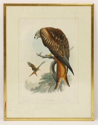 Lot 360A - J Wolf and HC Richter