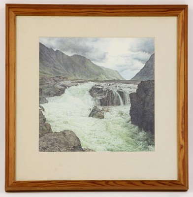 Lot 69 - Colin Fraser (b.1956)