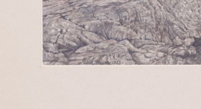 Lot 69 - Colin Fraser (b.1956)