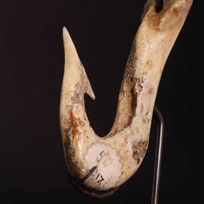 Lot 75 - A Maori bone 'hei matau' fish hook