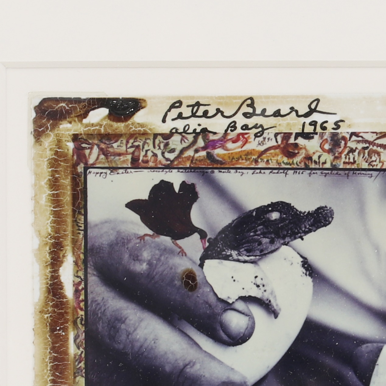 アート・デザイン・音楽 EYELIDS OF MORNING by Peter Beard Eyelids of Morning: The Mingled Destinies of Crocodile and Men
