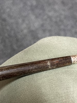 Lot 110 - A rhinoceros horn walking stick