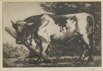 Lot 40 - Charles Frederick Tunnicliffe RA (1901-1979)