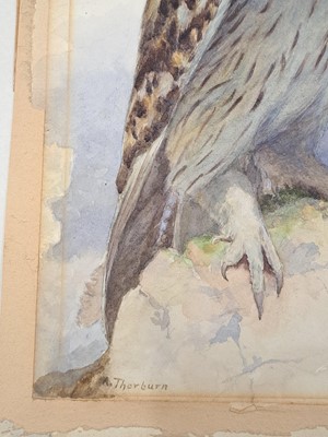Lot 257 - Archibald Thorburn (1860-1935)