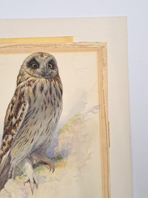 Lot 257 - Archibald Thorburn (1860-1935)